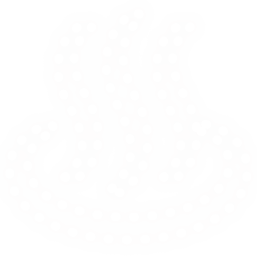 icon onsen