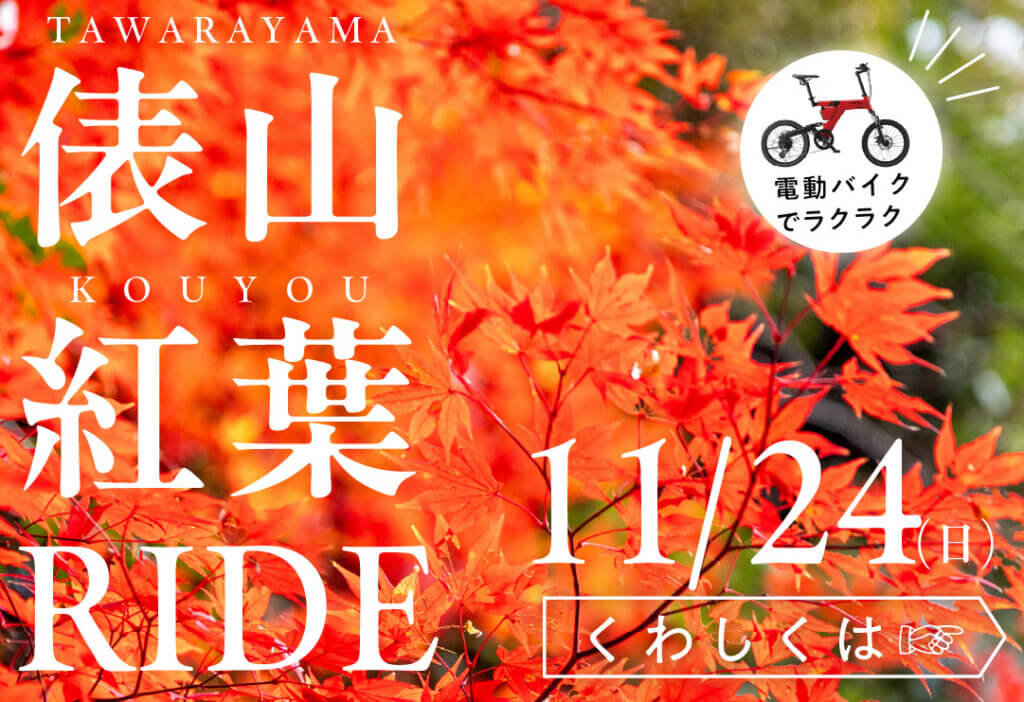 241124kouyou ride ec 80