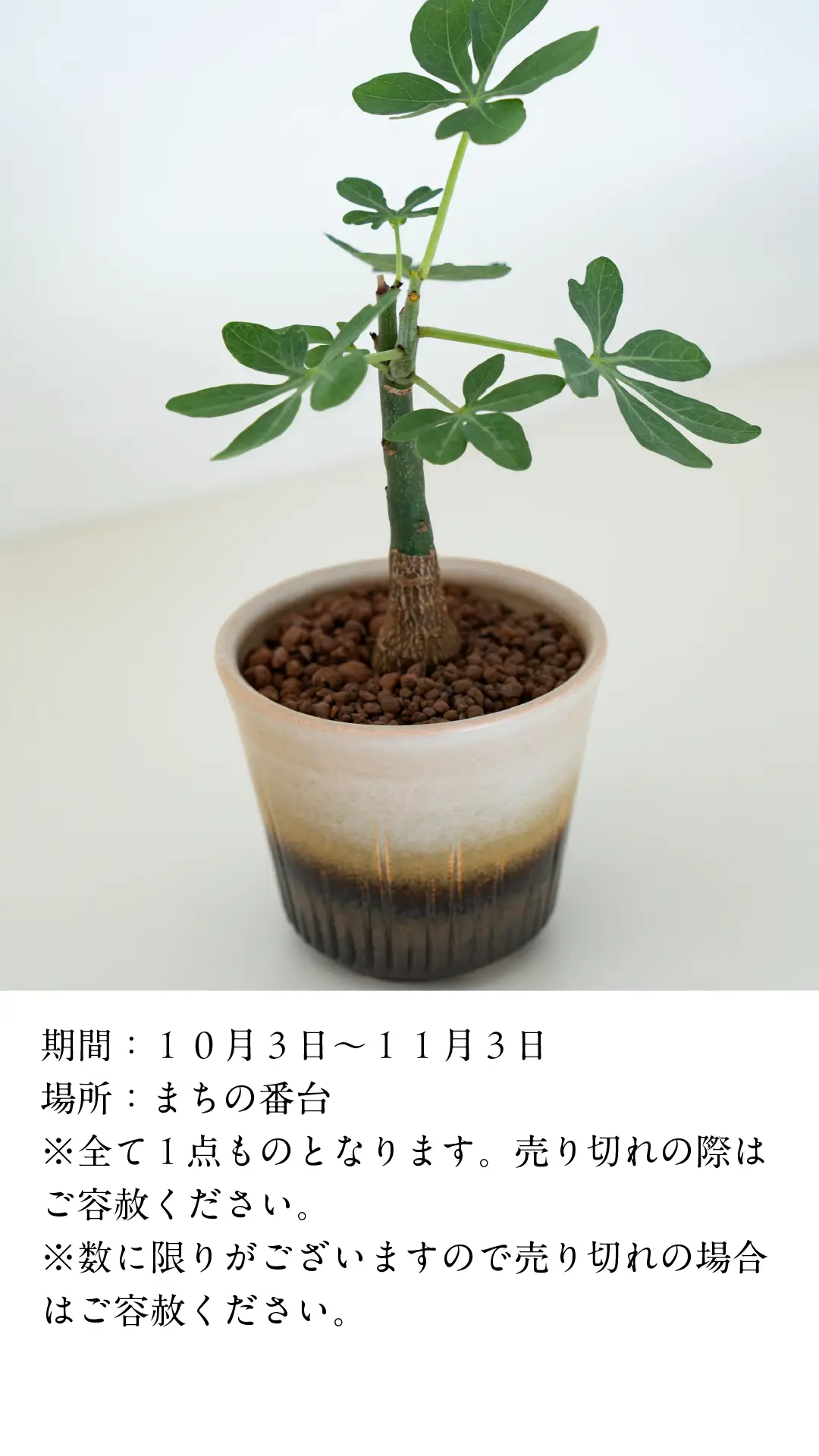 utsuwanoaki25-event2-3