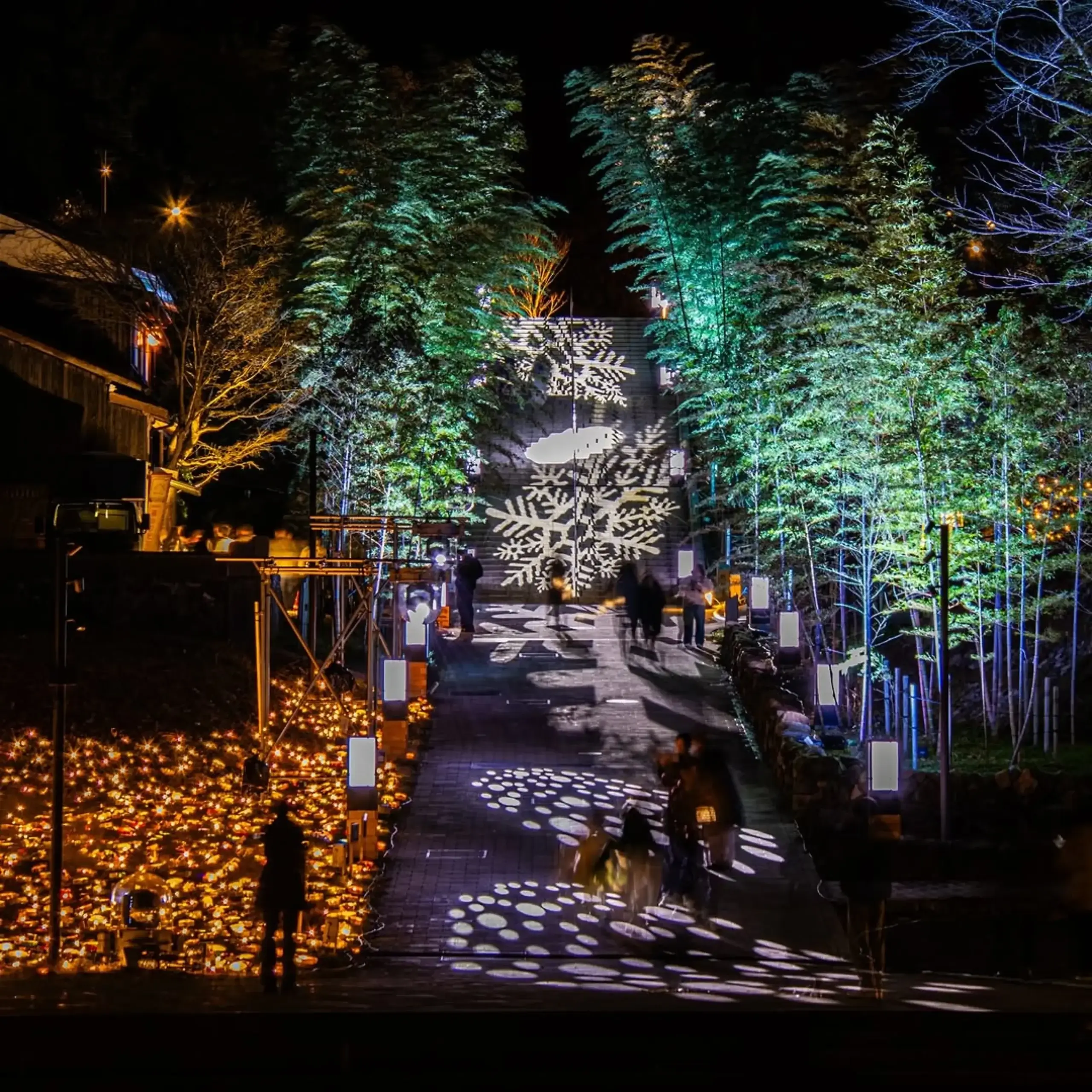 25photocon 05 nyusho zizeru2020 scaled