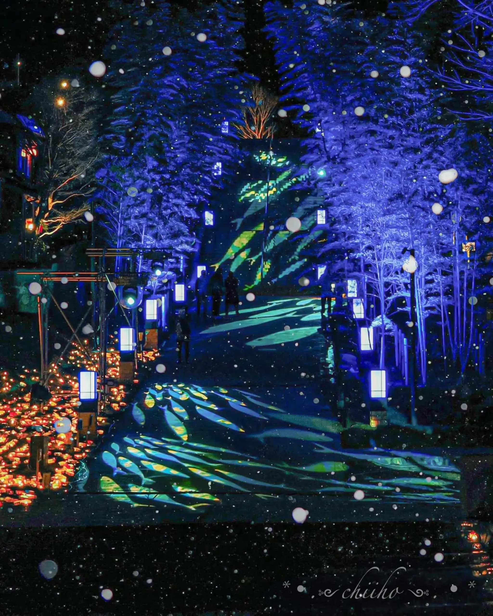 25photocon 06 nyusho chiho0614 scaled