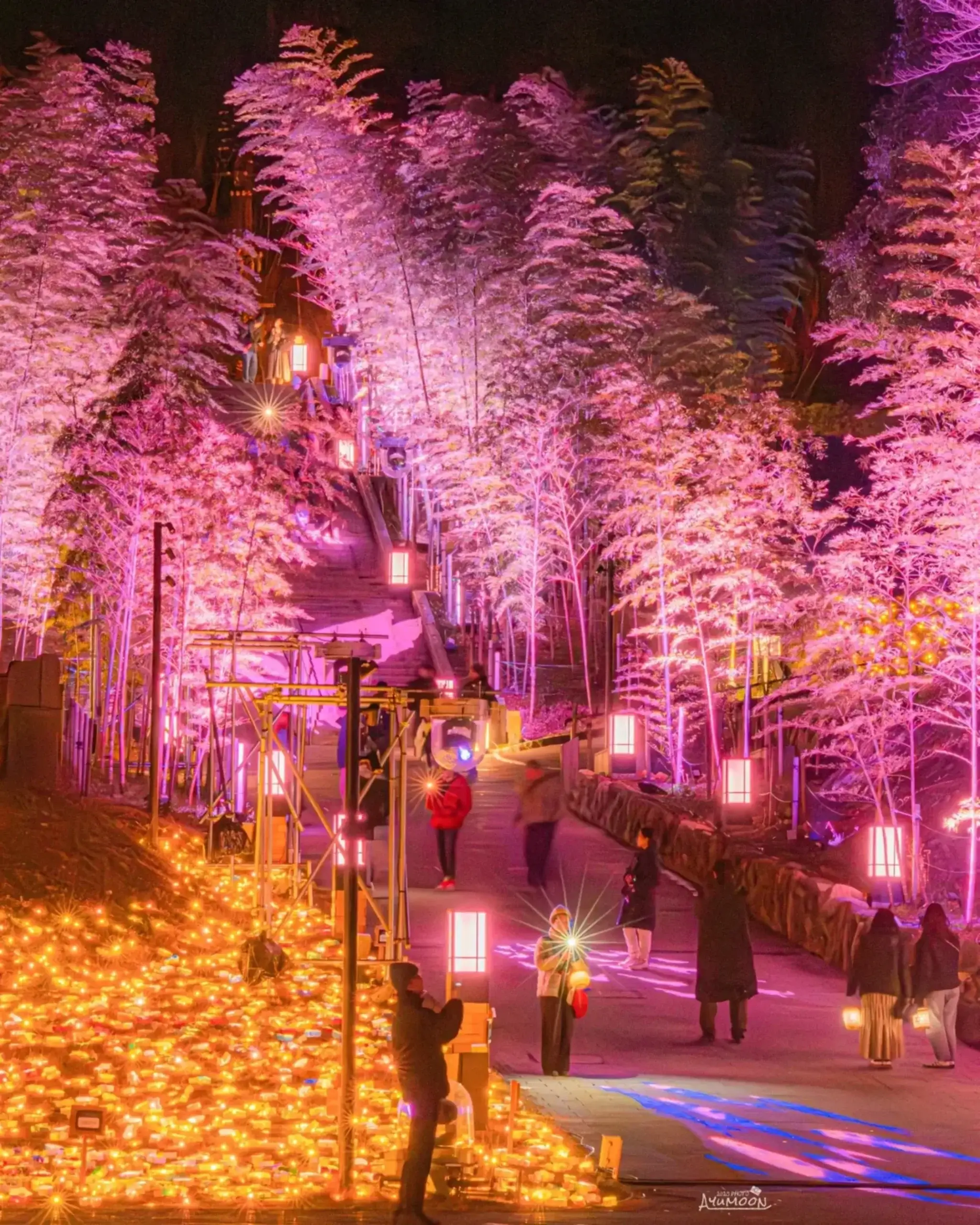 25photocon 08 nyusho ayumoon1727 scaled