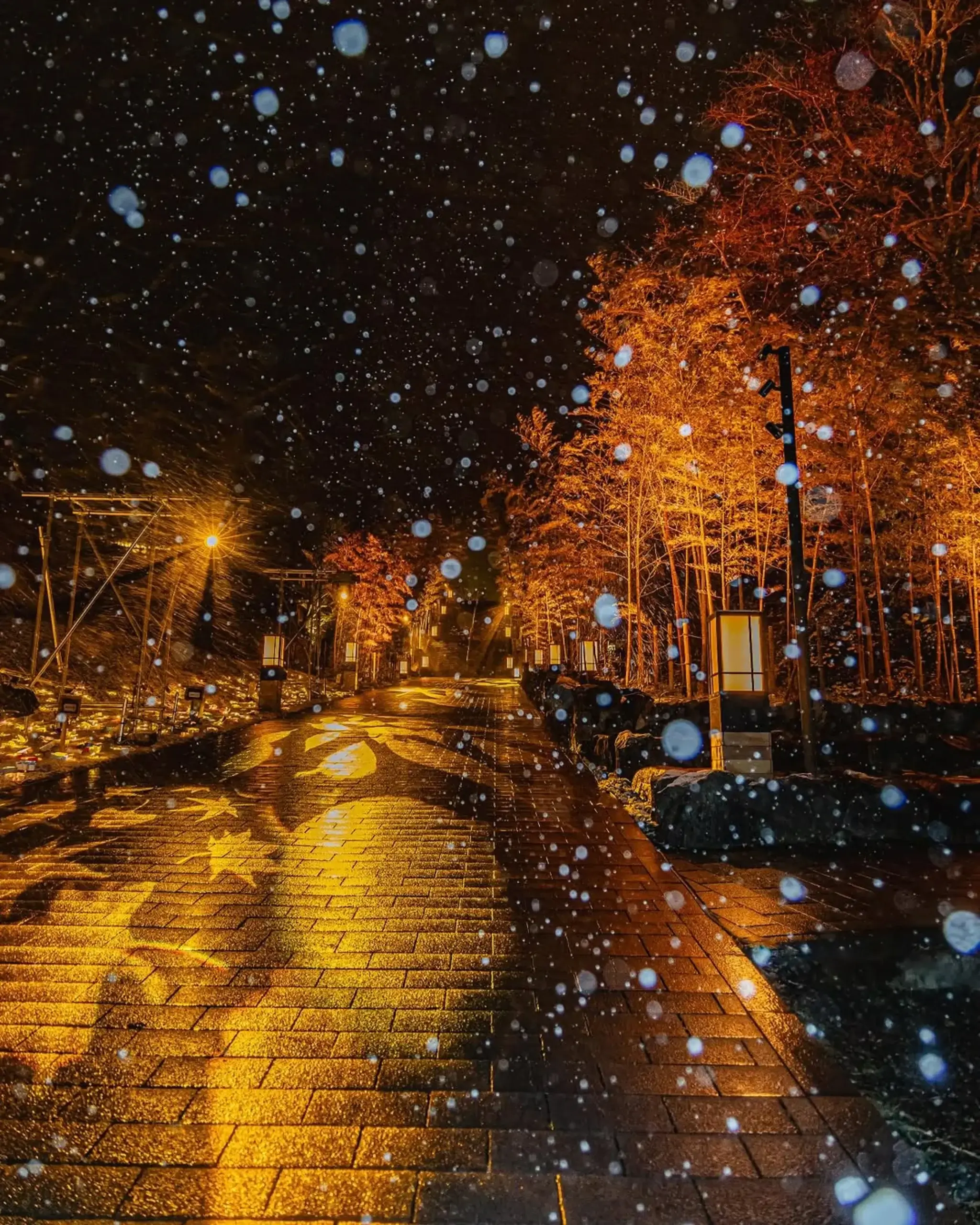 25photocon 17 otozure takuya 2501 scaled