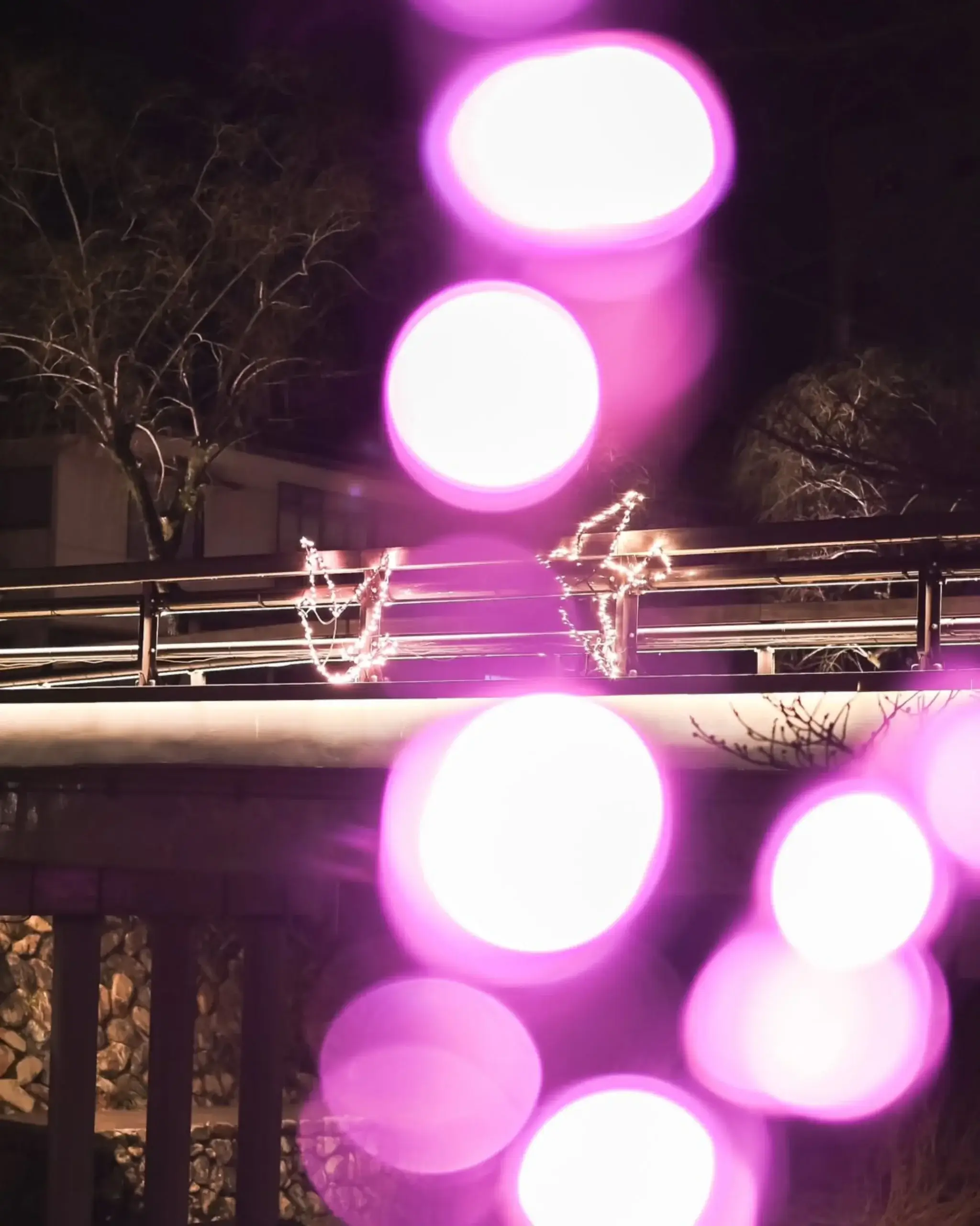 25photocon 18 otozure y.u.246 scaled