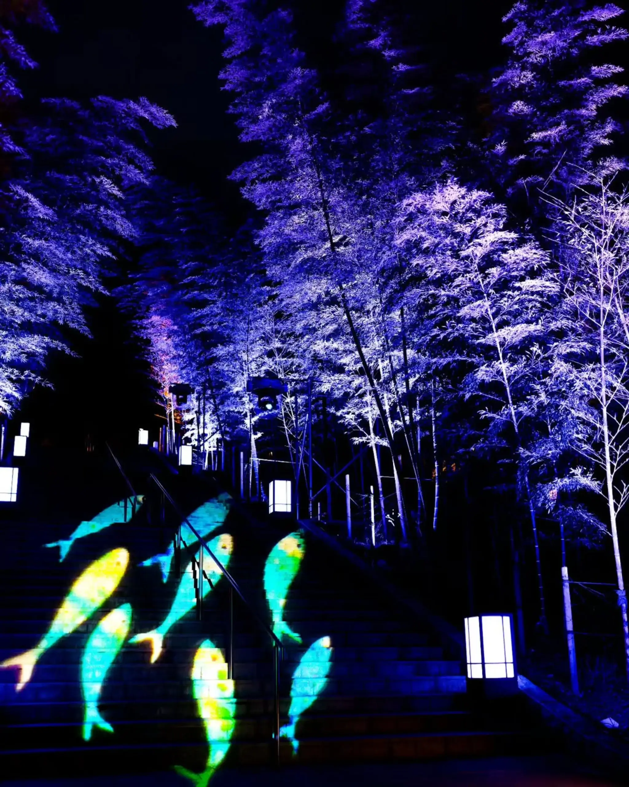 25photocon 23 otozure kobasusiro scaled