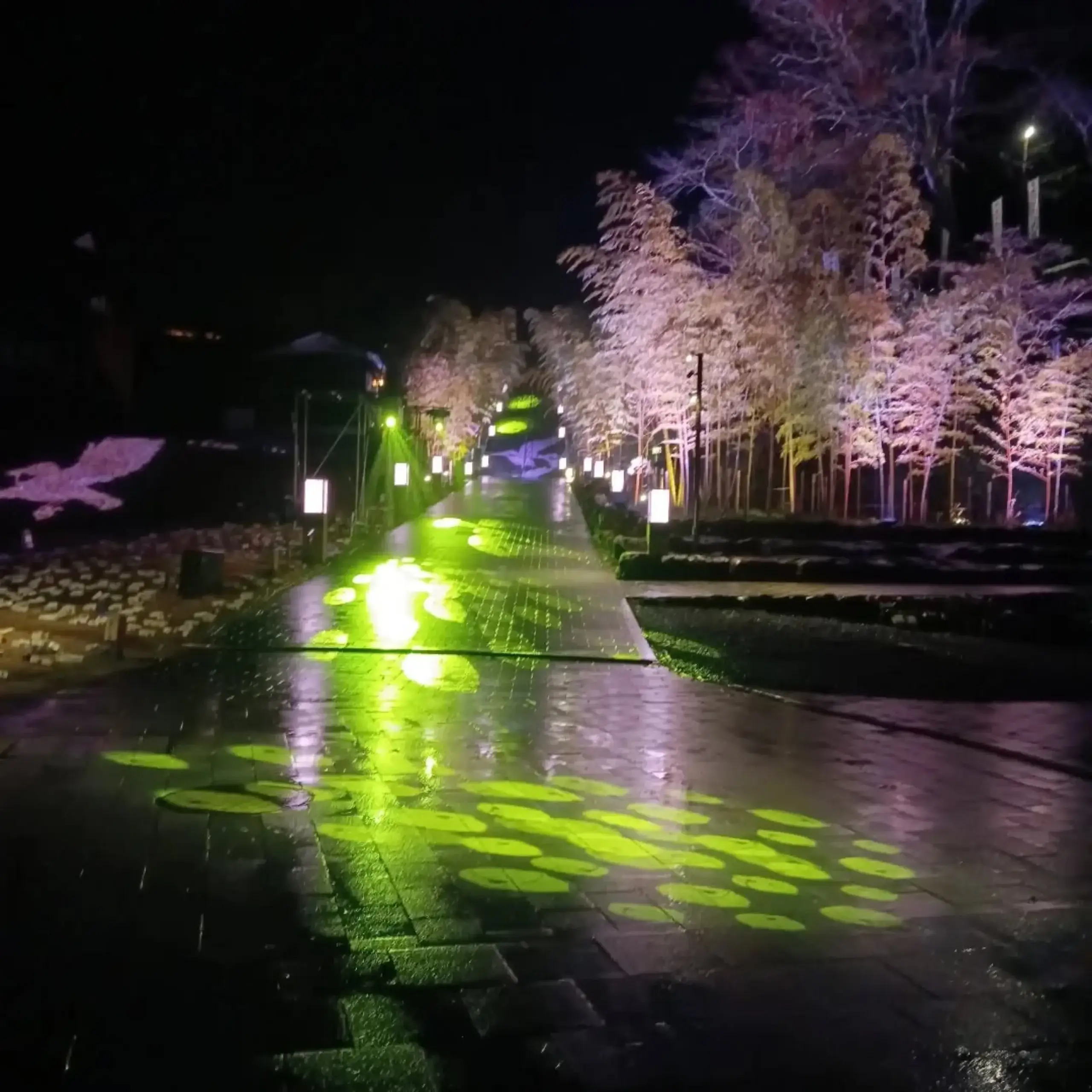 25photocon 25 otozure nakada63096 scaled