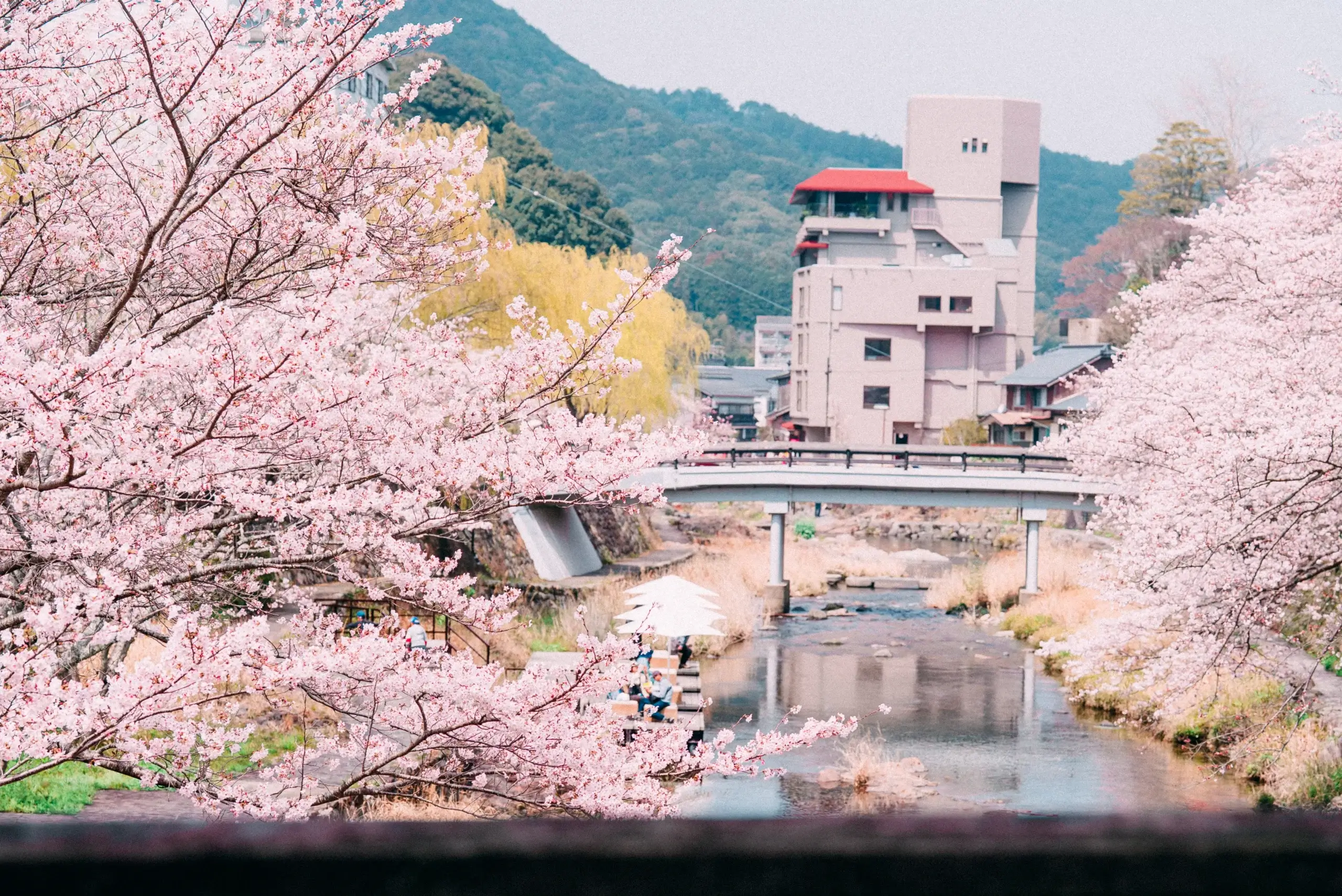 260328afternoontea7 scaled