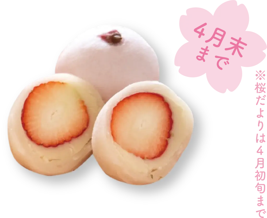 いちご大福＆桜だより