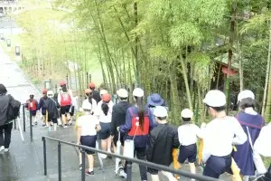 260501kouyou walk47 w1440